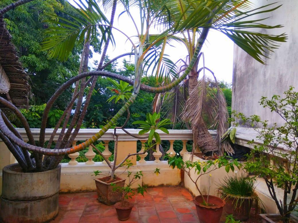 Maison Bombaly Bed and Breakfast Puducherry Buitenkant foto